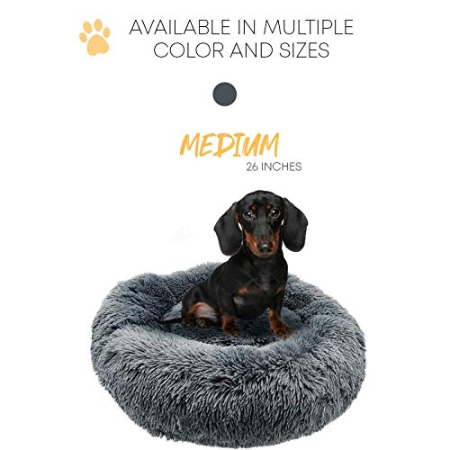 Alpha Paw Cozy Calming Dog Bed for Small Dogs, Anti Anxiety, Comfy, Fluffy, Ultra Soft, Round Pillow Donut Pet Bed for Dogs (Small 24", Beige)