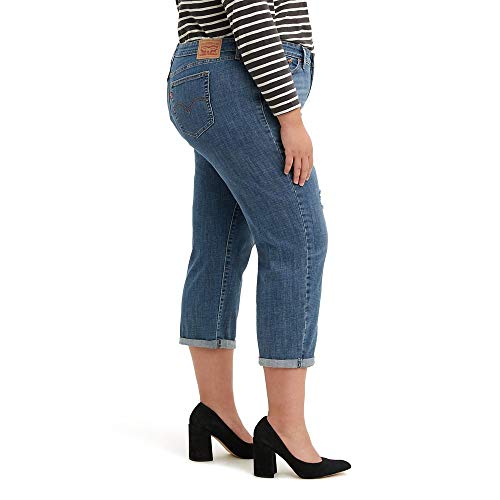 Levi's Women's New Boyfriend Jeans, maui views, 29 (US 8)