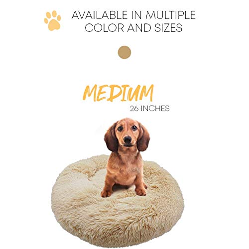 Alpha Paw Cozy Calming Dog Bed for Small Dogs, Anti Anxiety, Comfy, Fluffy, Ultra Soft, Round Pillow Donut Pet Bed for Dogs (Small 24", Beige)