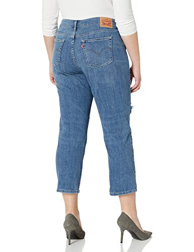 Levi's Women's New Boyfriend Jeans, maui views, 29 (US 8)