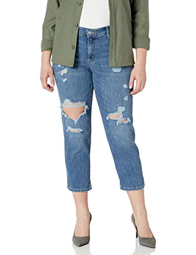 Levi's Women's New Boyfriend Jeans, maui views, 29 (US 8)