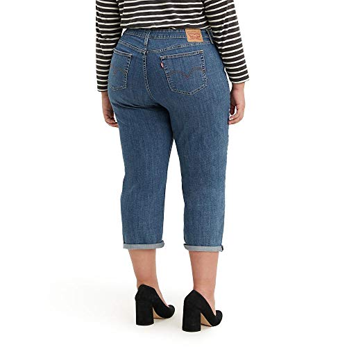 Levi's Women's New Boyfriend Jeans, maui views, 29 (US 8)