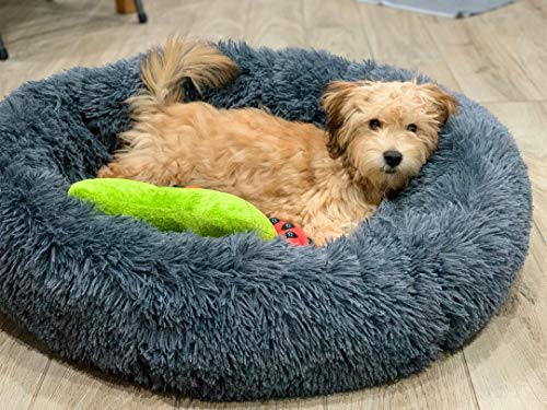 Alpha Paw Cozy Calming Dog Bed for Small Dogs, Anti Anxiety, Comfy, Fluffy, Ultra Soft, Round Pillow Donut Pet Bed for Dogs (Small 24", Beige)