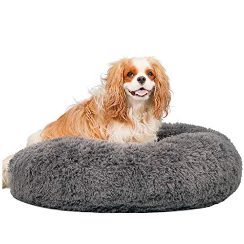 Alpha Paw Cozy Calming Dog Bed for Small Dogs, Anti Anxiety, Comfy, Fluffy, Ultra Soft, Round Pillow Donut Pet Bed for Dogs (Small 24", Beige)