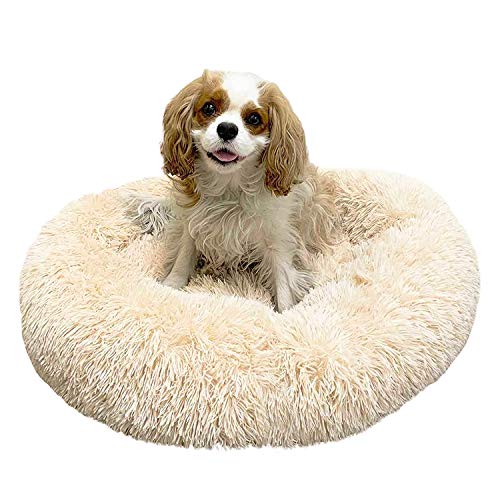 Alpha Paw Cozy Calming Dog Bed for Small Dogs, Anti Anxiety, Comfy, Fluffy, Ultra Soft, Round Pillow Donut Pet Bed for Dogs (Small 24", Beige)