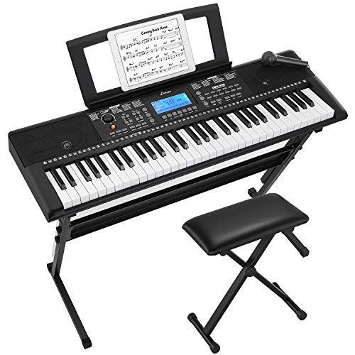 Donner DEK-610 Beginner Electronic Piano 61 Key Electric Keyboard with Full-Size Keys, LCD, Include a Music Stand, Keyboard Stand, Stool, Microphone